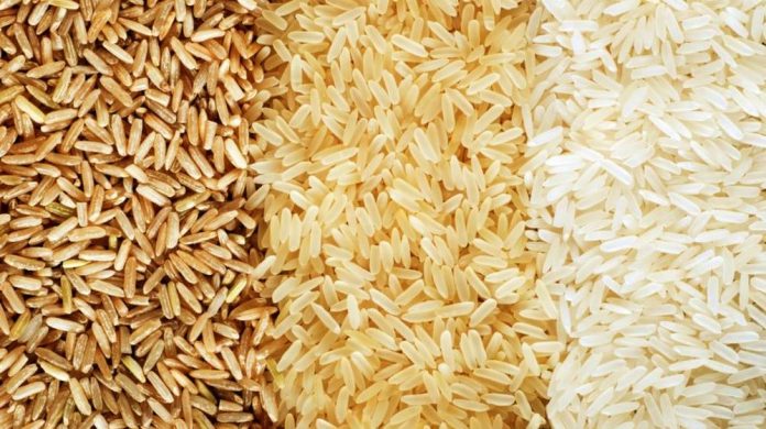 Chinese, Pakistani universities develop high-yield hybrid rice varieties with latest techs to boost Pakistani rice exports